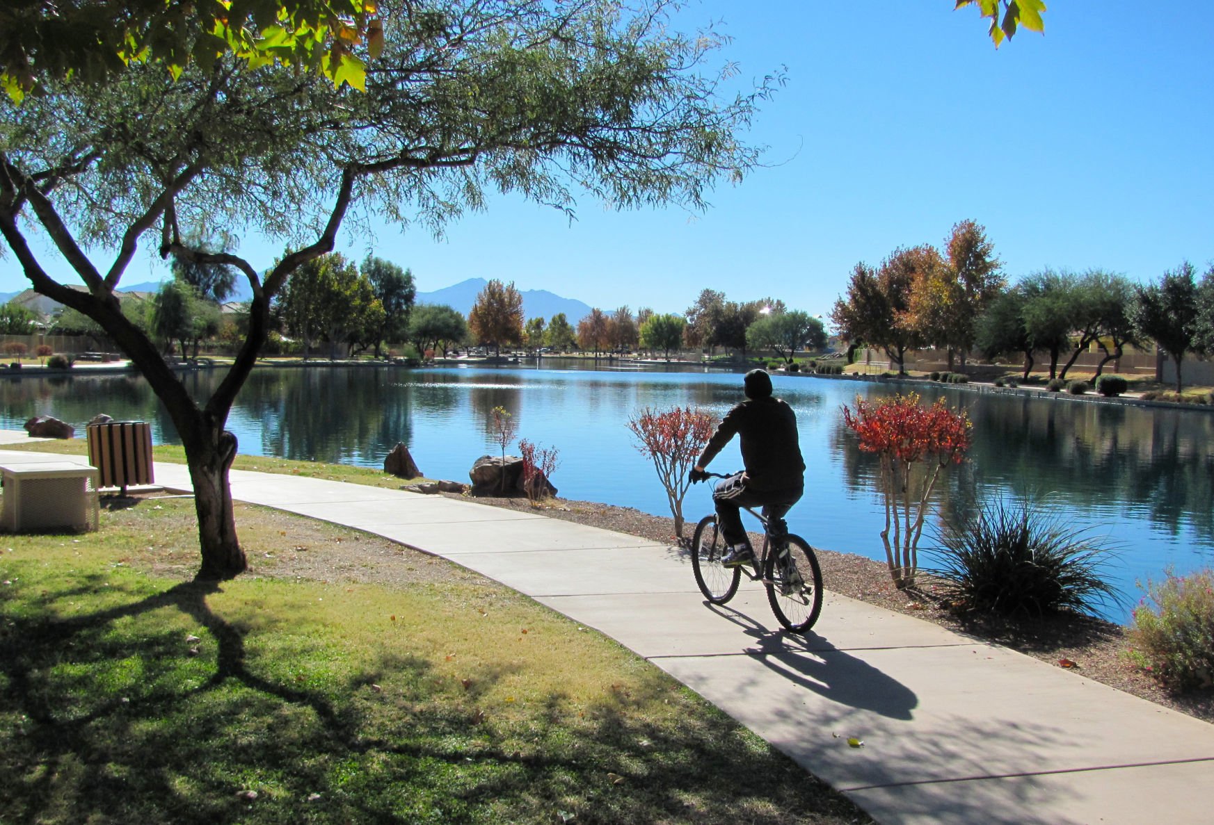 Sahuarita Lake